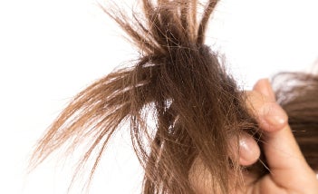 Cabello seco